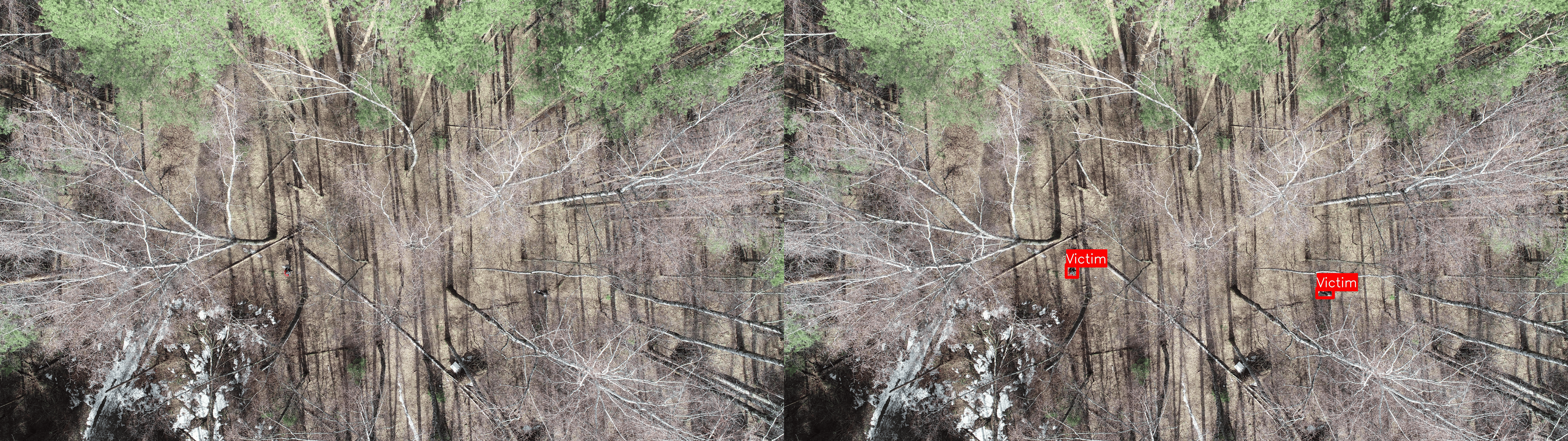 Detection of Victims in Complex Environments Using Drones